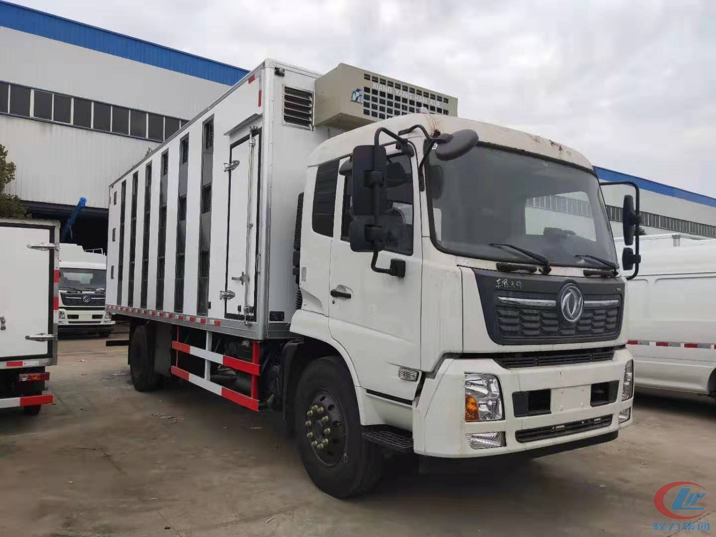 天锦VR豪华驾驶室雏禽运输车,猪苗车 实拍图