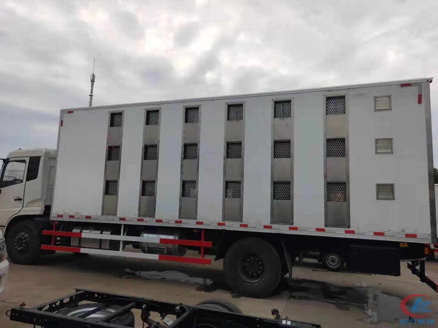 天锦VR豪华驾驶室雏禽运输车,猪苗车 实拍图