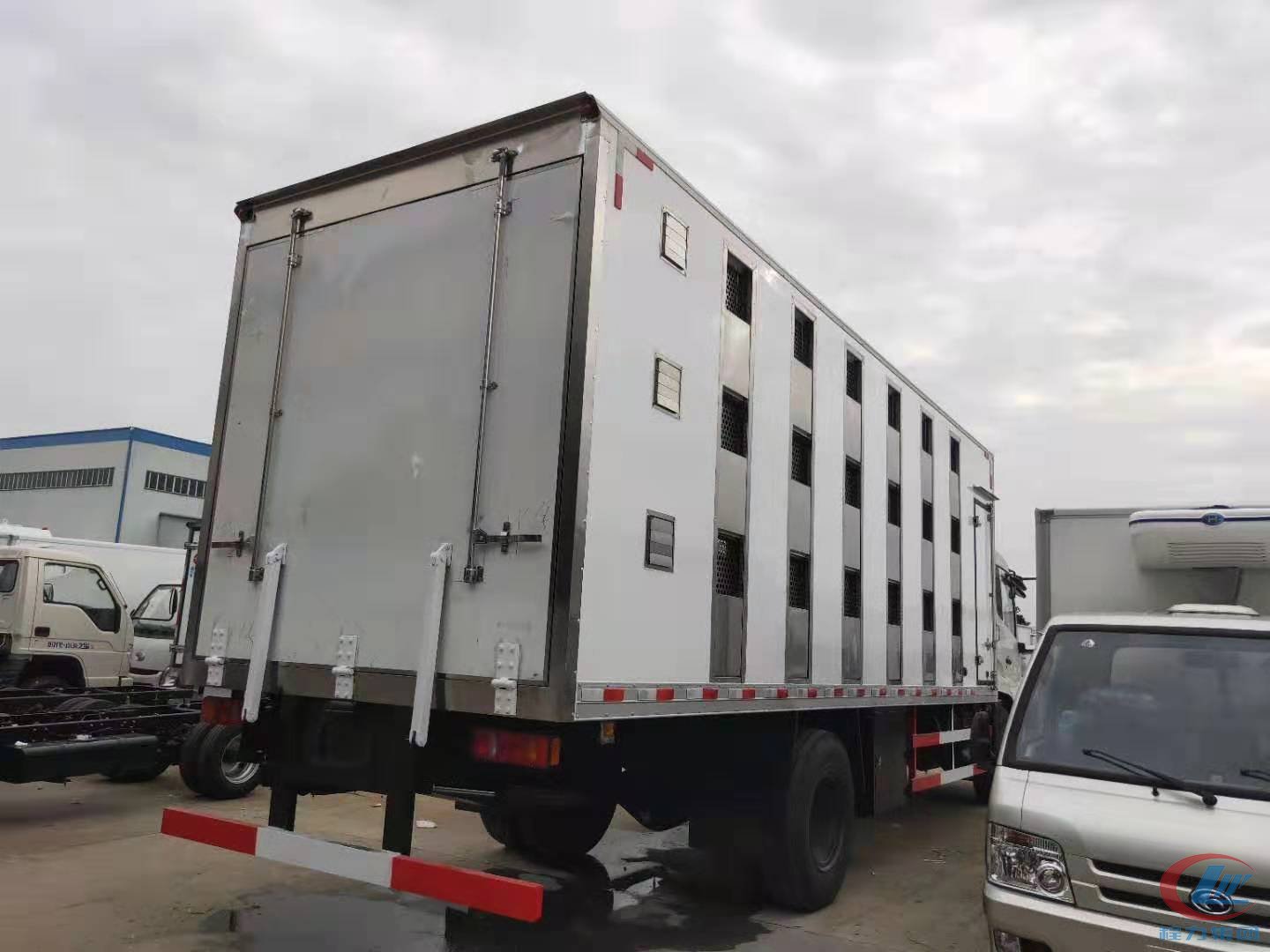 天锦VR豪华驾驶室雏禽运输车,猪苗车 实拍图
